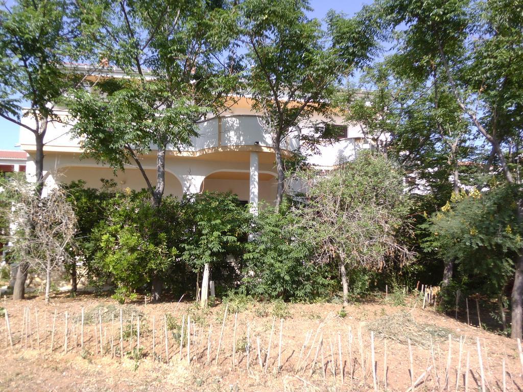 Apartments Kresimir Beauty With Shadow Trees And Parking Place Pag Town Buitenkant foto