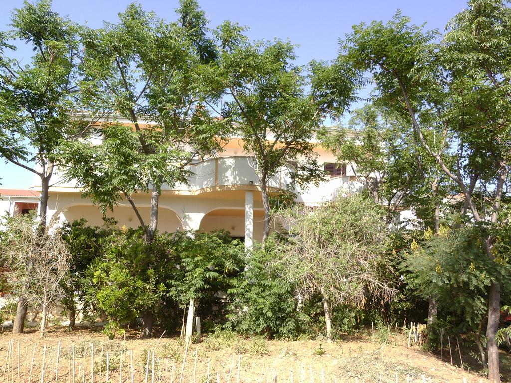 Apartments Kresimir Beauty With Shadow Trees And Parking Place Pag Town Buitenkant foto