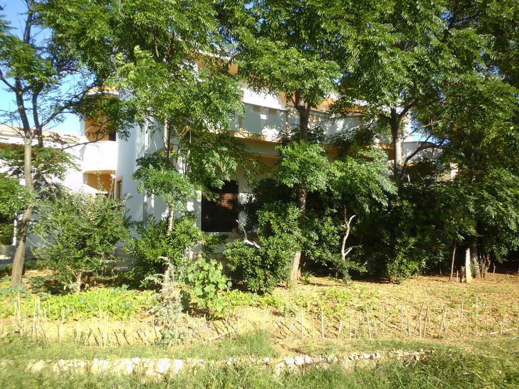 Apartments Kresimir Beauty With Shadow Trees And Parking Place Pag Town Kamer foto