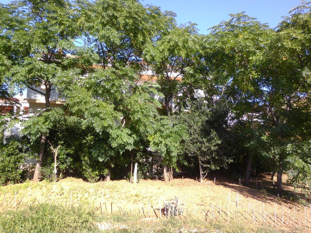 Apartments Kresimir Beauty With Shadow Trees And Parking Place Pag Town Buitenkant foto