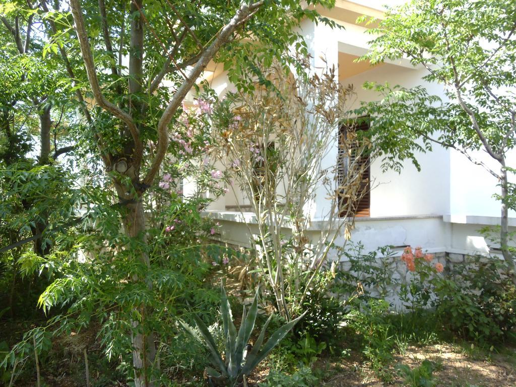 Apartments Kresimir Beauty With Shadow Trees And Parking Place Pag Town Kamer foto