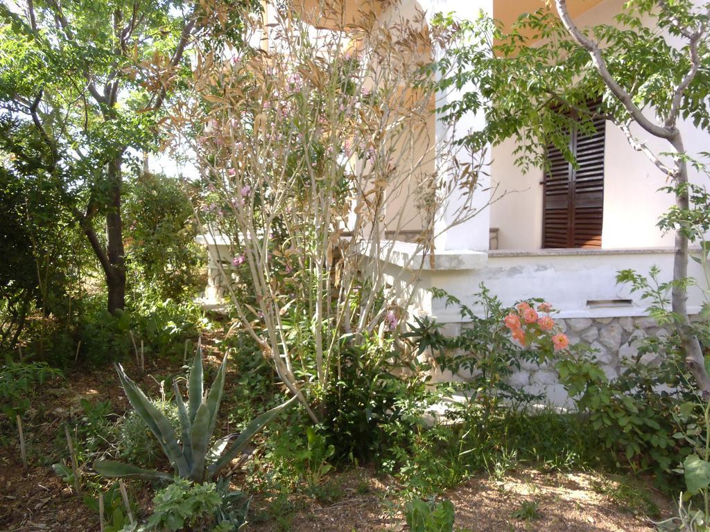Apartments Kresimir Beauty With Shadow Trees And Parking Place Pag Town Kamer foto
