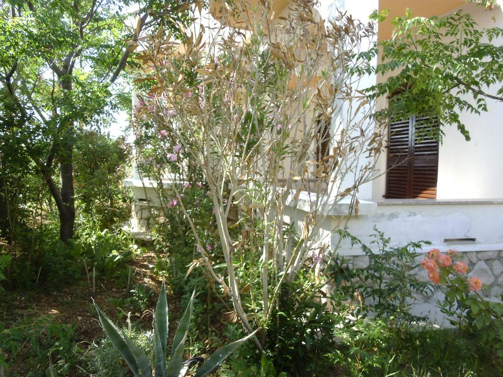 Apartments Kresimir Beauty With Shadow Trees And Parking Place Pag Town Kamer foto